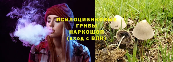 спайс Корсаков