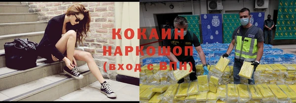 спайс Корсаков